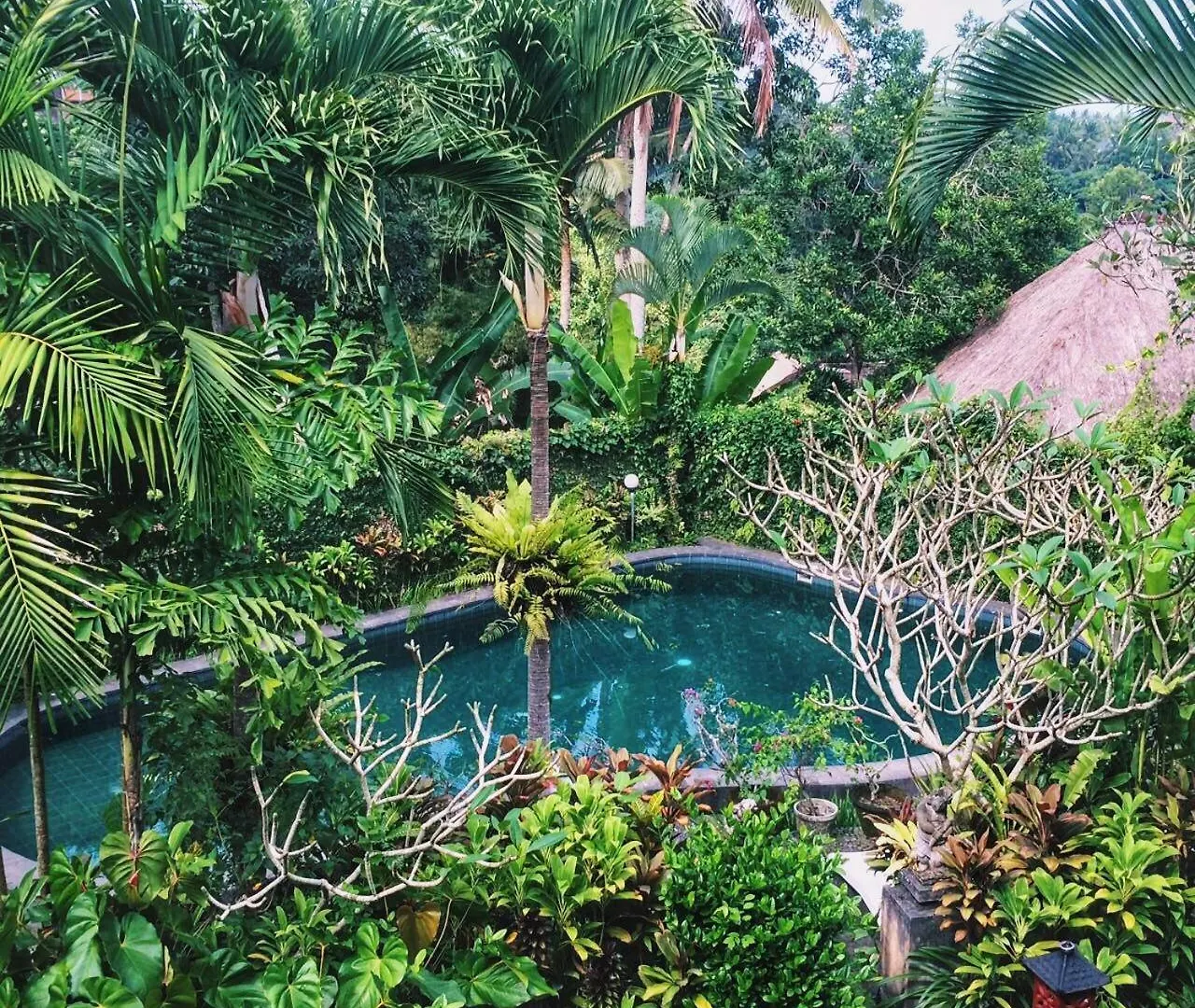 Anomcottages Ubud Couette-café
