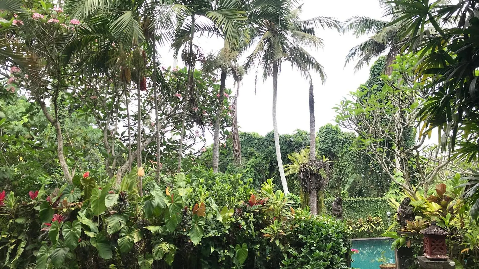 Anomcottages Ubud Couette-café