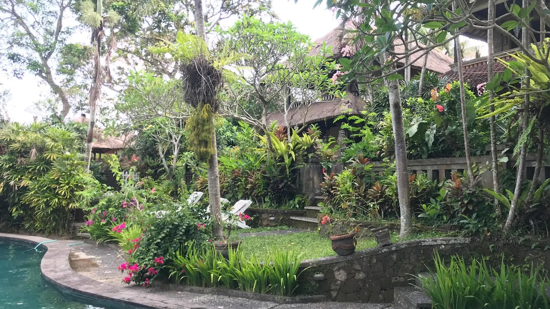 Couette-café Anomcottages Ubud Indonésie