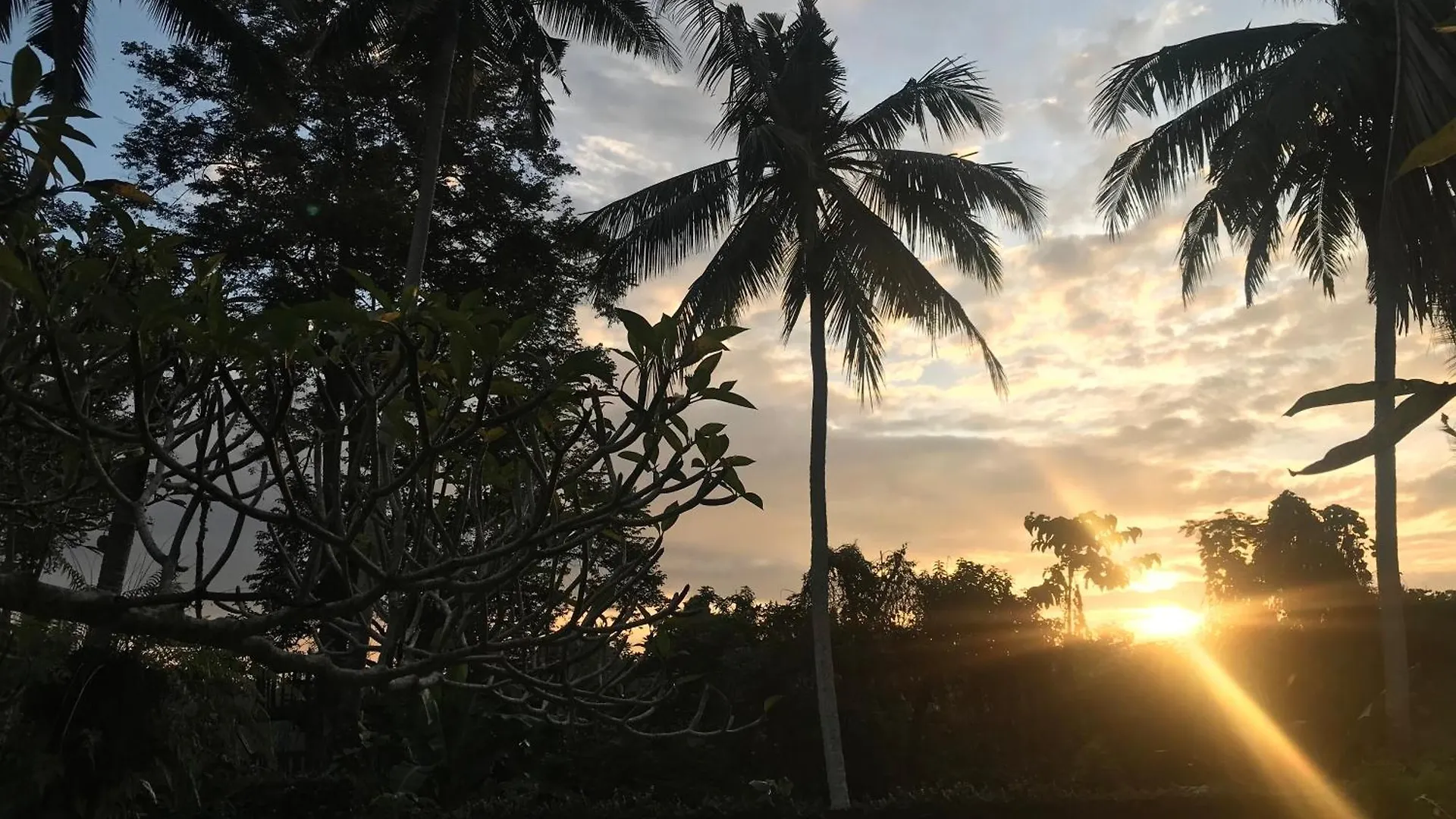 Couette-café Anomcottages Ubud
