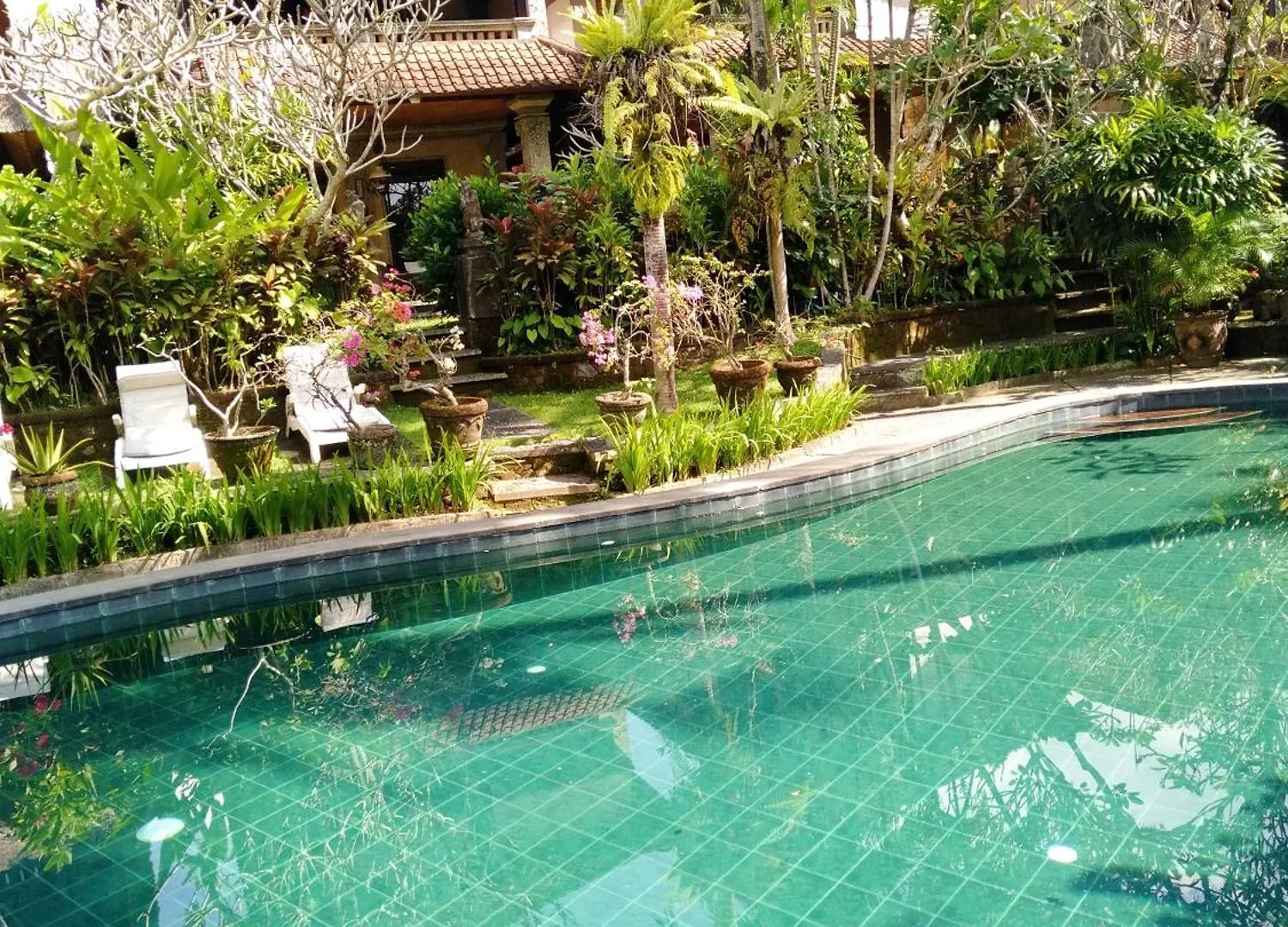 Bed & Breakfast Anomcottages Ubud  Indonesia